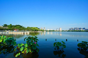 https://wdw.4000500521.com//upimg/seot/t20161115164637508.jpg