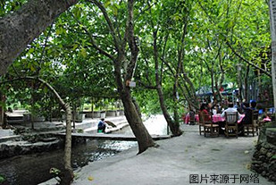 https://wdw.4000500521.com//upimg/seot/t20161219140322787.jpg