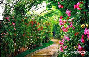 https://wdw.4000500521.com//upimg/seot/t20161219154823264.jpg