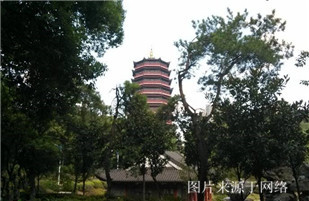 https://wdw.4000500521.com//upimg/seot/t20170725135623321.jpg