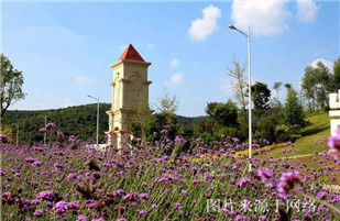 https://wdw.4000500521.com//upimg/seot/t20170725135833850.jpg