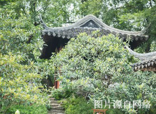 https://wdw.4000500521.com//upimg/seot/t20190701165548338.jpg