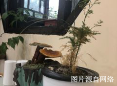 https://wdw.4000500521.com//upimg/seot/t20190701173553213.jpg
