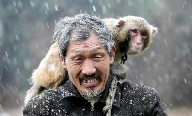 那旧时空的猴子和耍猴人 那旧时空的猴子和耍猴人